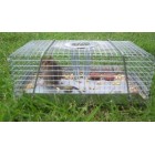 Mouse Trap Multi Catch - Small