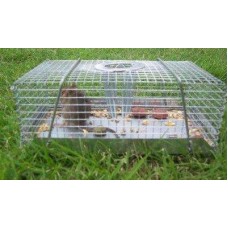 Mouse Trap Multi Catch - Small