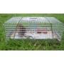 Mouse Trap Multi Catch - Small
